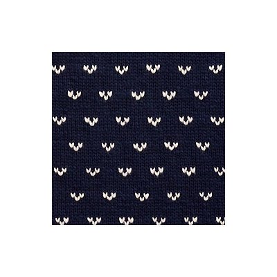 Polo Ralph Lauren - Pull hiver motif flocon blanc/ marine - Lothaire