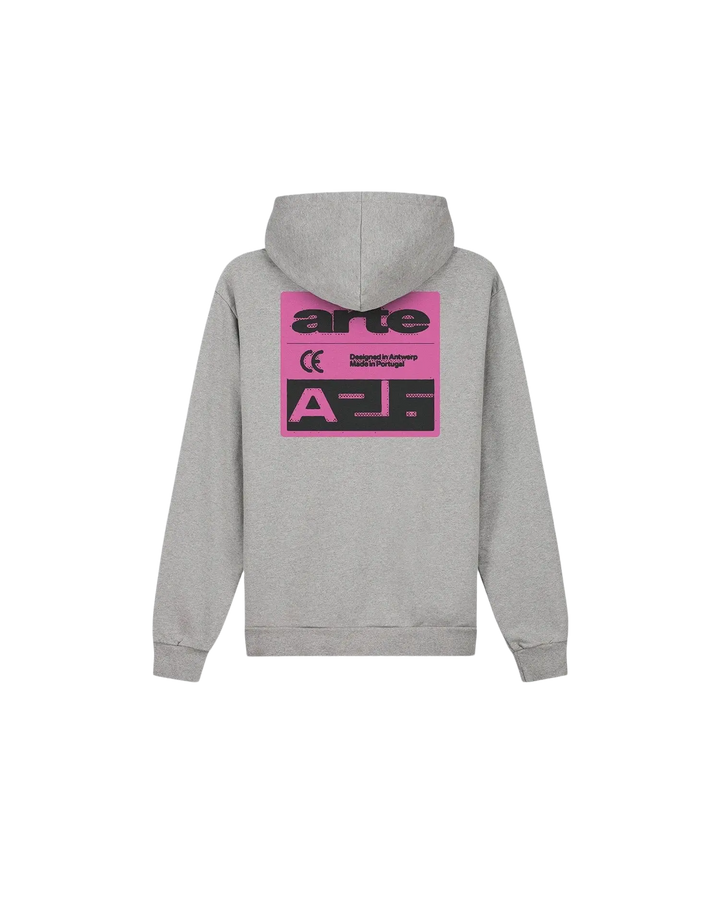 ARTE - Sweat à capuche Pink Serial Gris