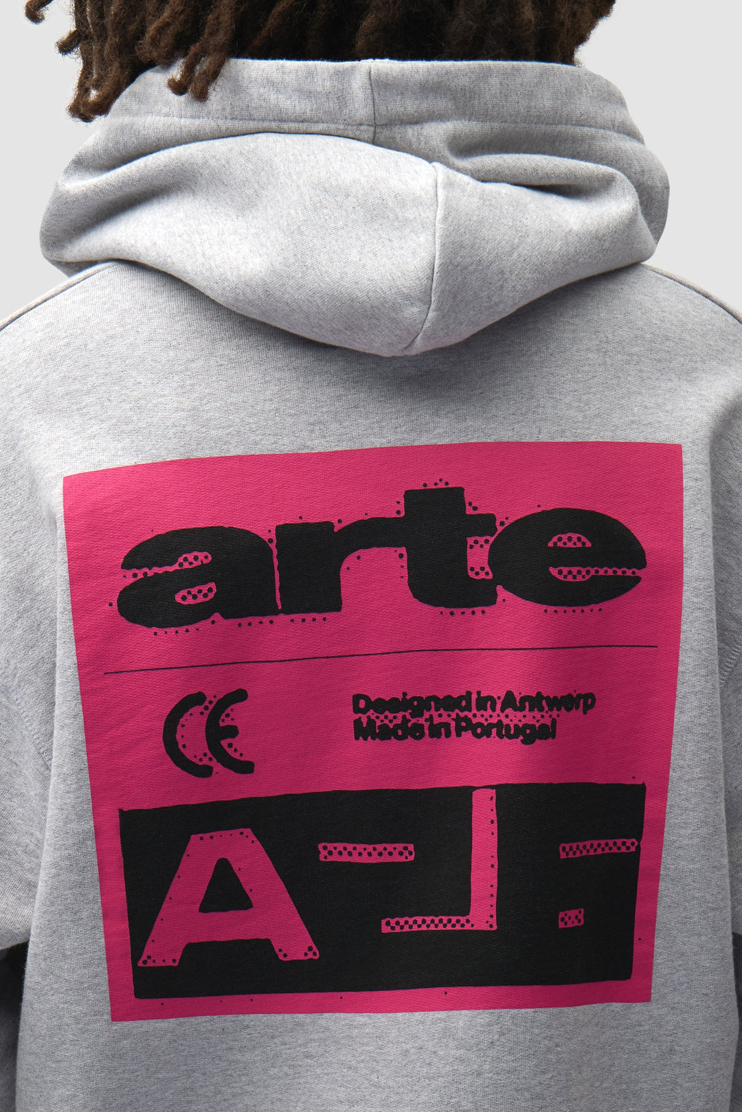 ARTE - Sweat à capuche Pink Serial Gris