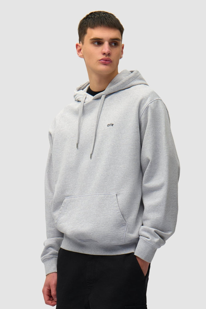 ARTE - Sweat à Capuche avec Poster au dos Gris - Lothaire