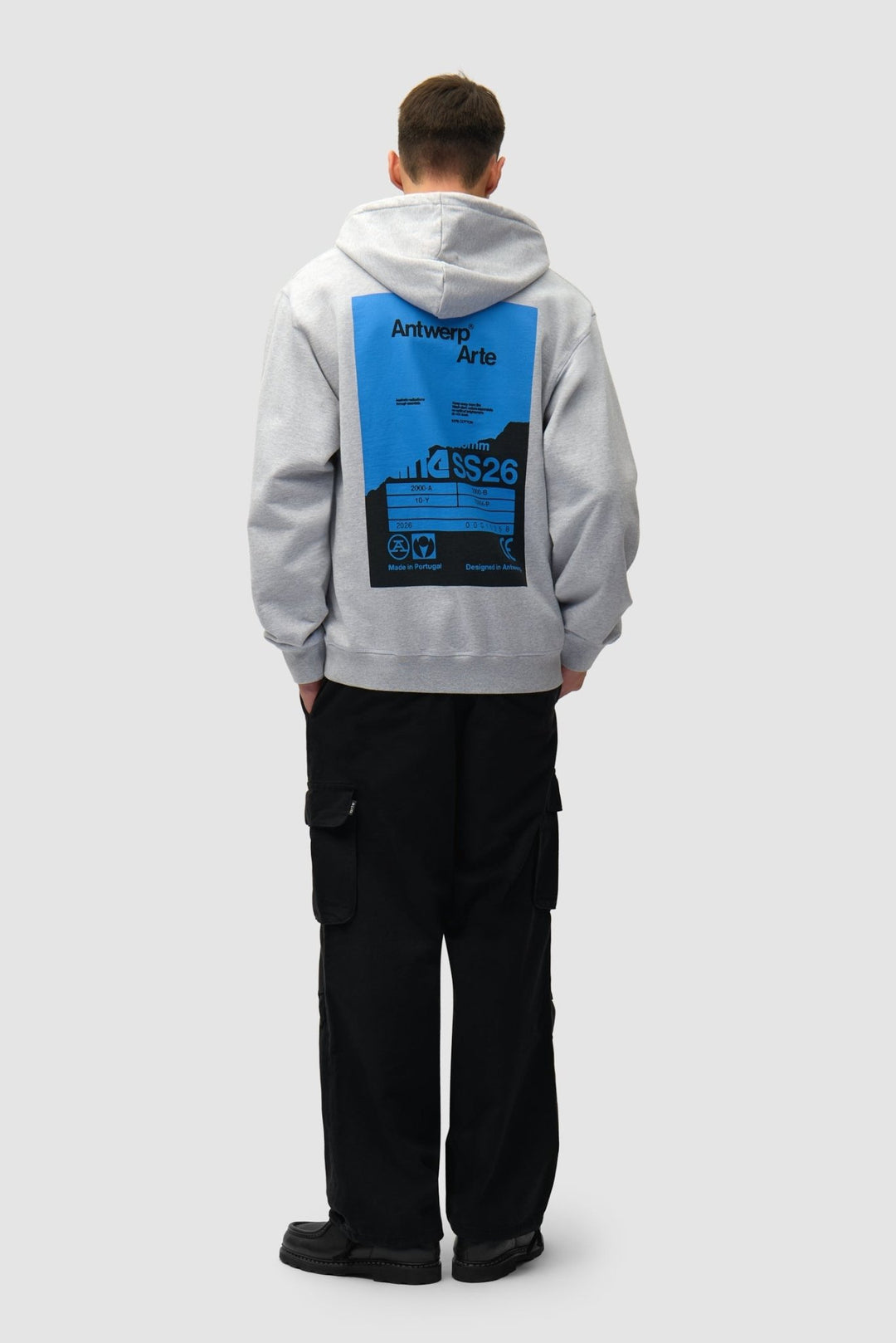 ARTE - Sweat à Capuche avec Poster au dos Gris - Lothaire