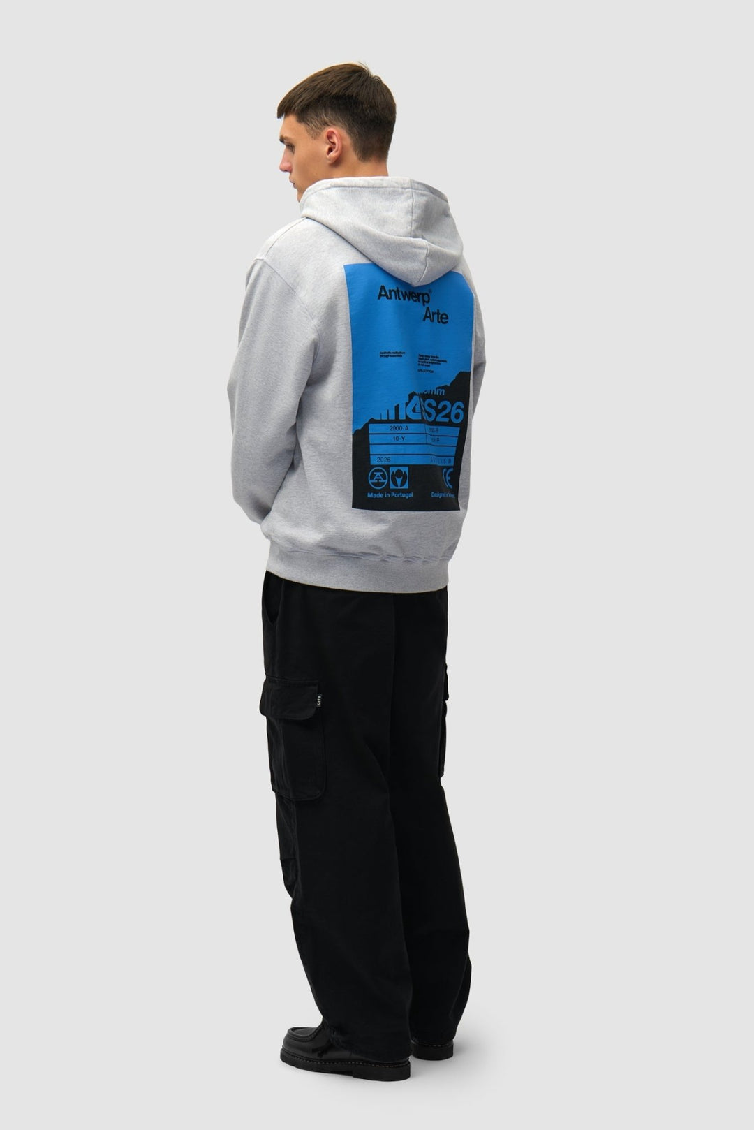 ARTE - Sweat à Capuche avec Poster au dos Gris - Lothaire