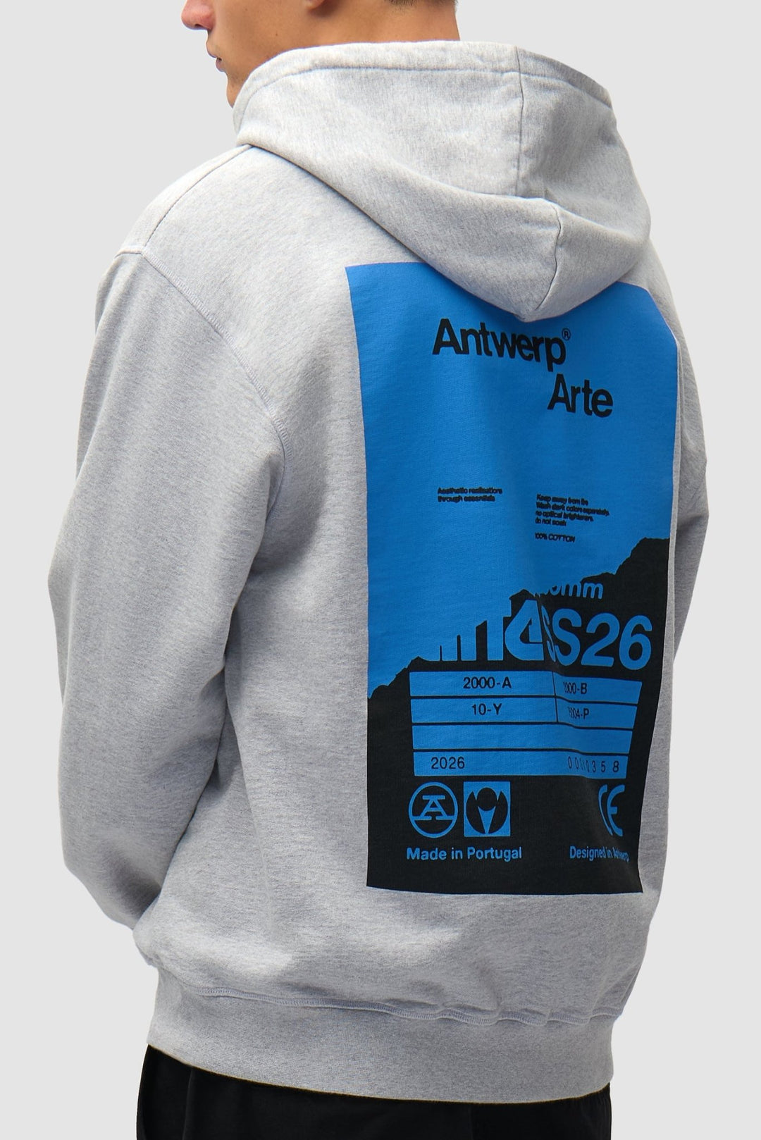 ARTE - Sweat à Capuche avec Poster au dos Gris - Lothaire