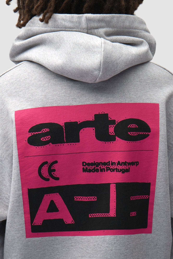 ARTE - Sweat à capuche Pink Serial Gris - Lothaire