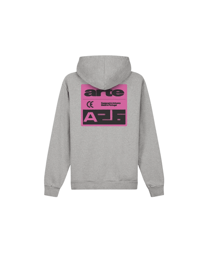 ARTE - Sweat à capuche Pink Serial Gris - Lothaire