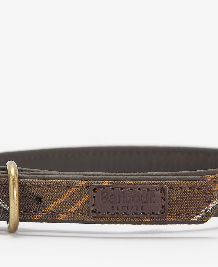 BARBOUR - Collier pour chien à motif tartan Vert - Lothaire