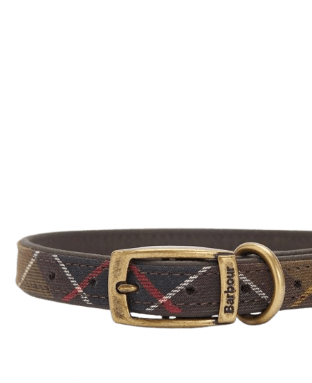 BARBOUR - Collier pour chien à motif tartan Vert - Lothaire