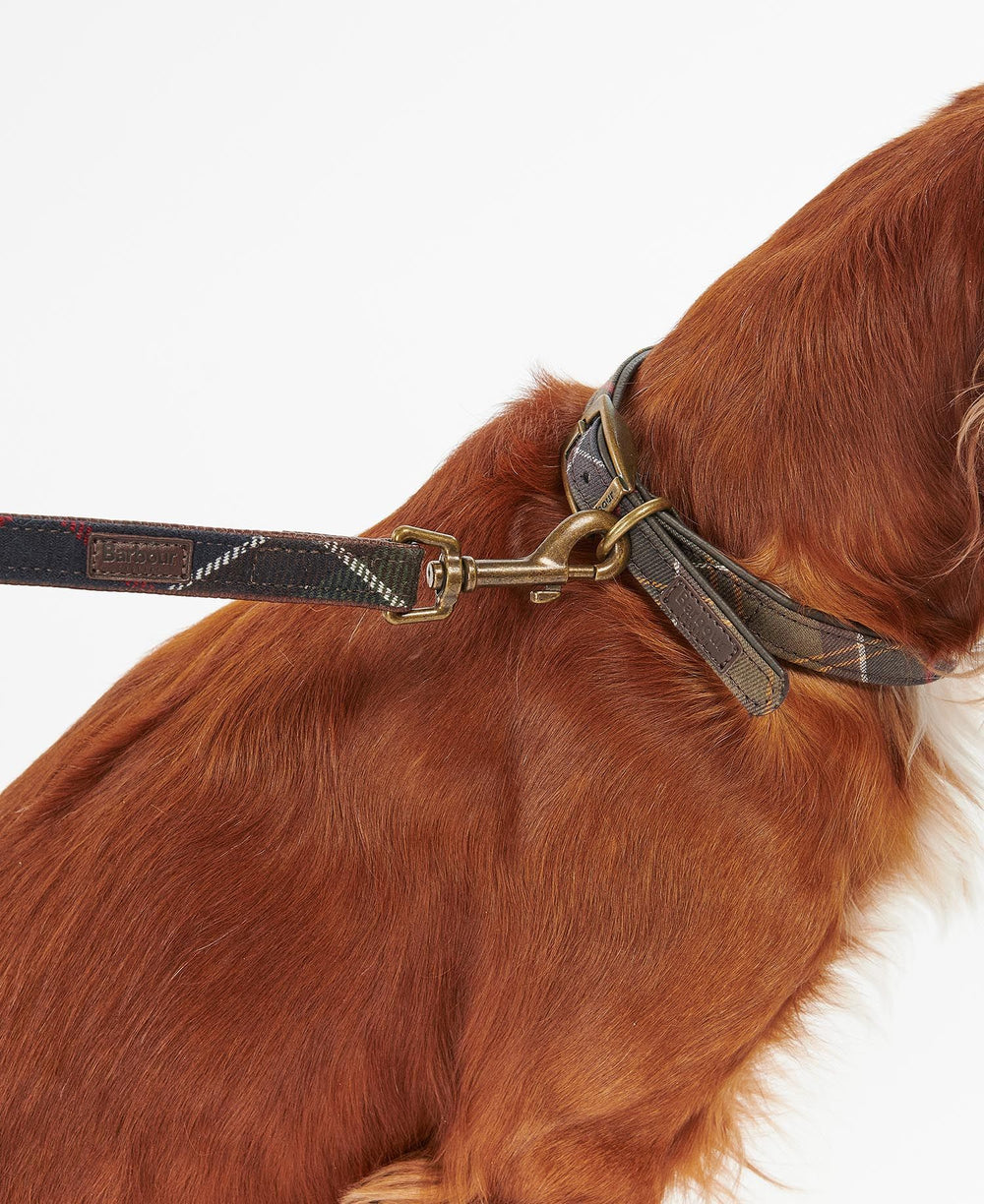 BARBOUR - Laisse pour chien à motif tartan - Lothaire