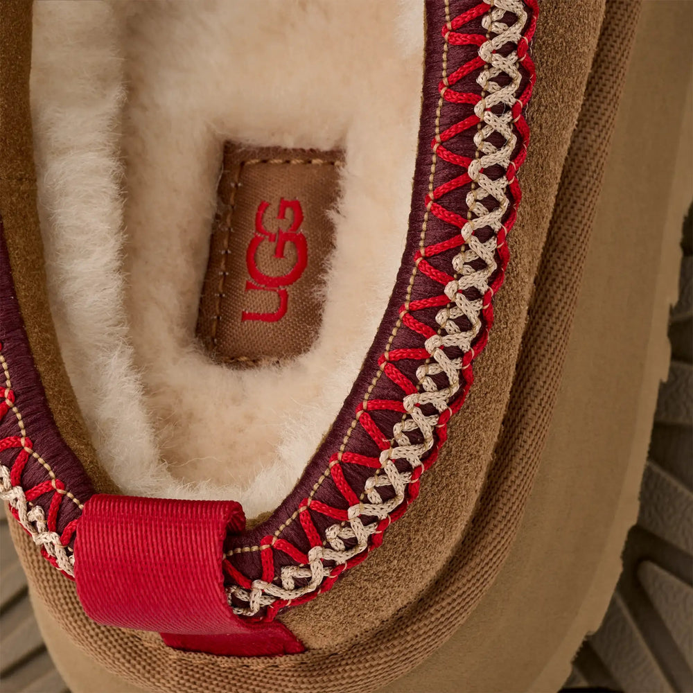 UGG - Tazz II Femme Chestnut Châtaigne - Lothaire