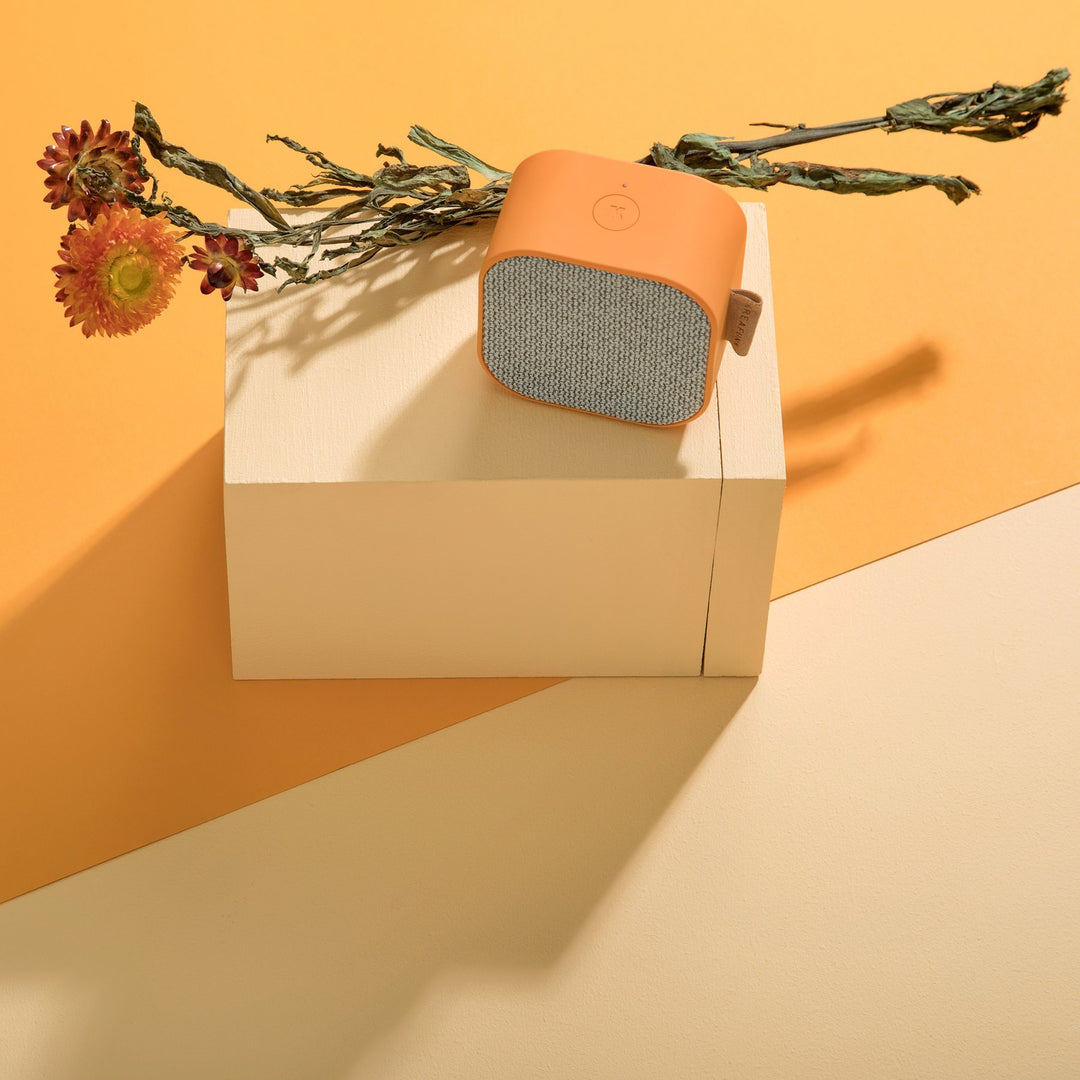 Enceinte Bluetooth Bois Puissante Autonomie Longue Portée Enceinte Bluetooth Bois Puissante Autonomie Longue Portée